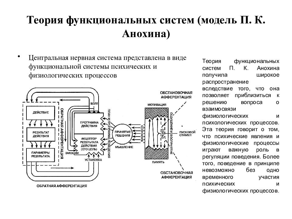 Схема центральной организации поведенческой реакции по анохину