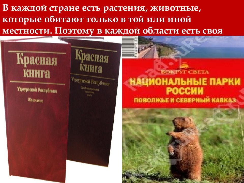 Охрана природы красная книга. Каждой области своя красная книга. У каждой страны есть своя красная книга. Растения животные внесены в красную книгу удмуртского края. Животные международной красной книги в Удмуртии.