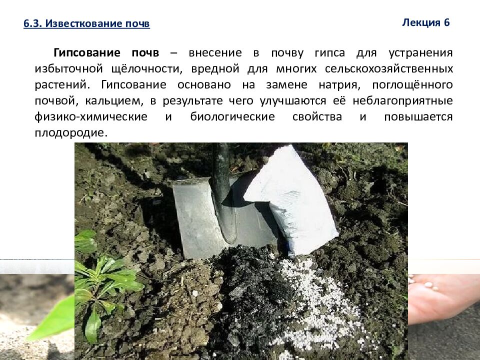 1 ЛЕКЦИЯ №6. Химическая мелиорация земель