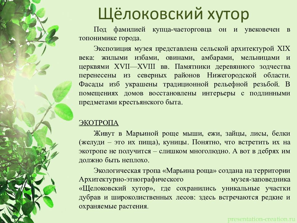 презентация зеленый мир. презентация зеленый мир. презентация зеленый класс на улице. зелёный мир презентация. картинка к дню экологии природы.