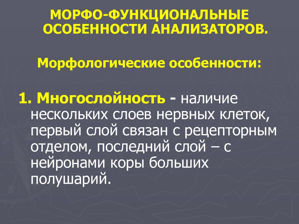 Особенности анализаторов. Функциональные особенности это. Морфофункциональные особенности это. Функциональные особенности анализаторов. Многослойность анализатора.