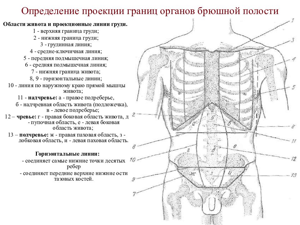 Эпигастральная область