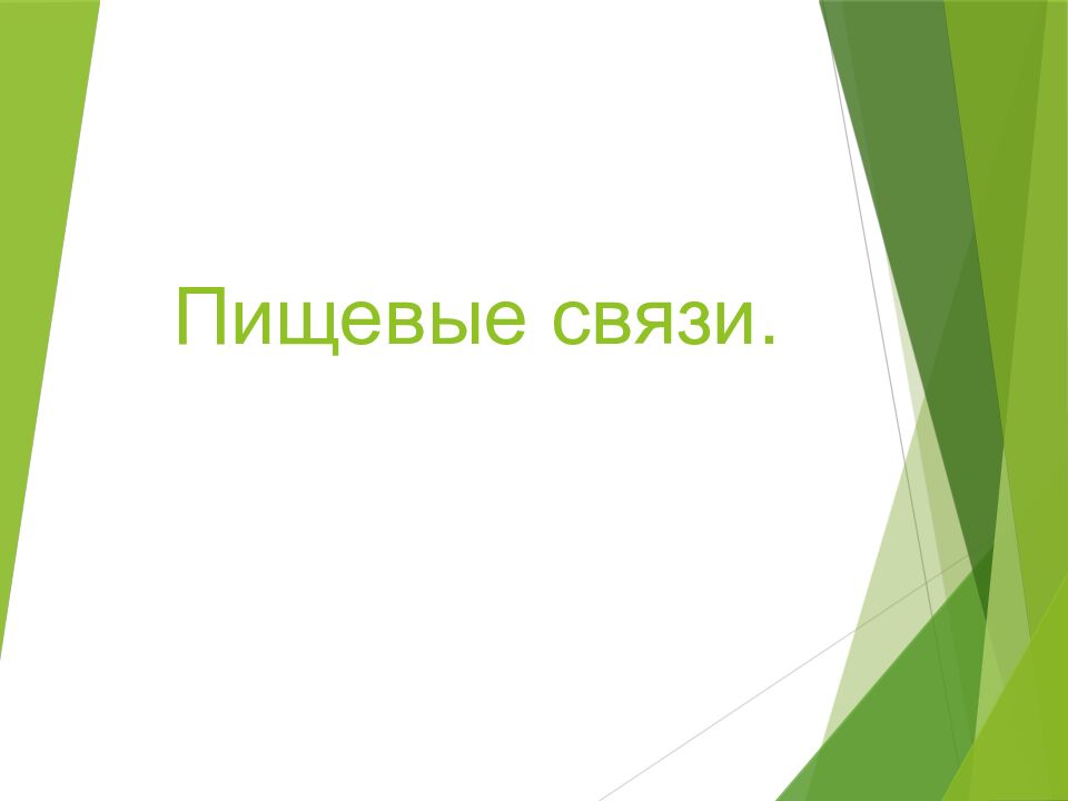 Пищевые связи.