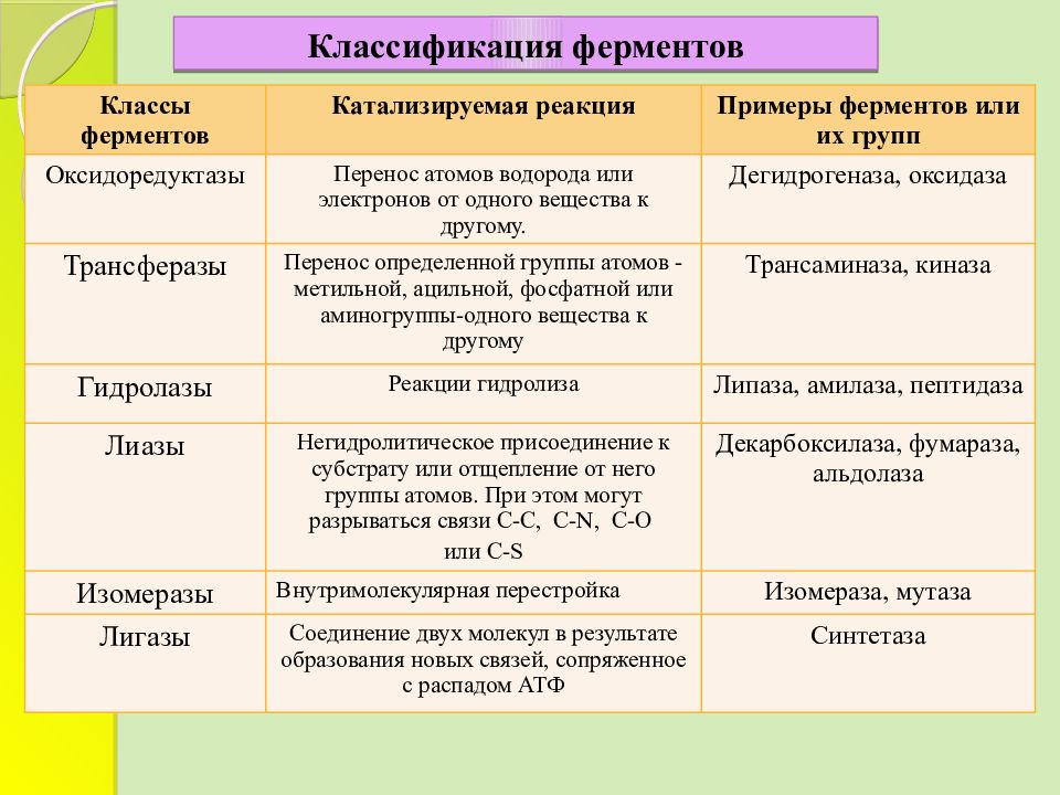 Классификация ферментов картинки