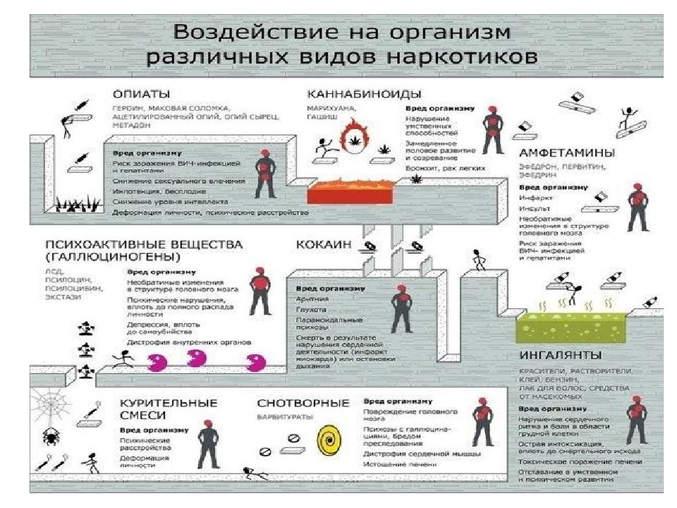 Презентация на тему влияние наркотиков на организм человека