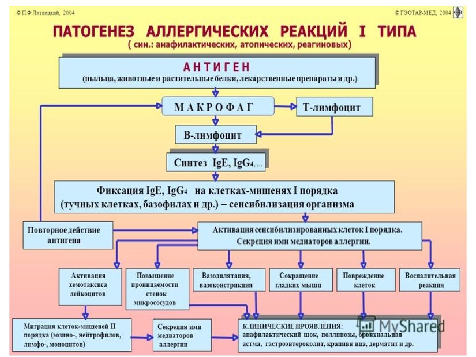 Атопический дерматит схема лечения