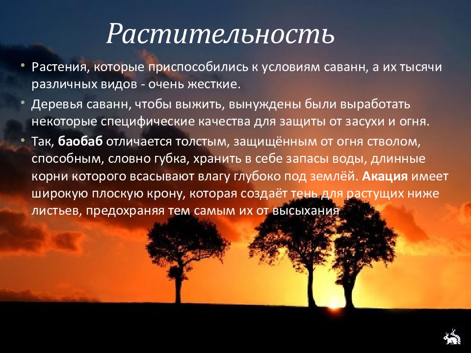 Описание саванны по плану 6 класс география