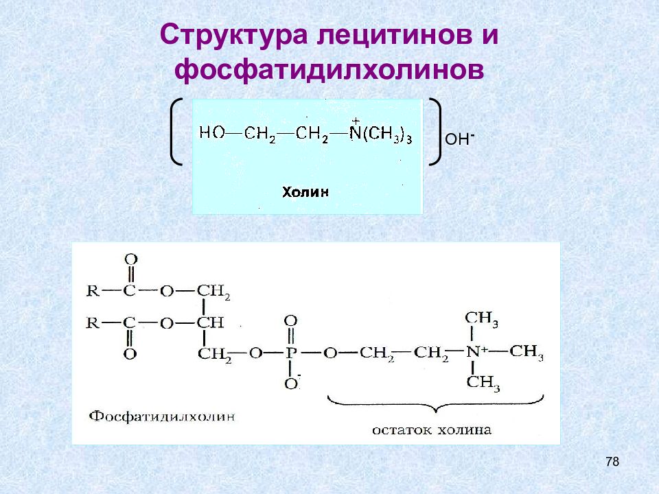 Лецитин фосфатидилхолин. Структура фосфатидилхолина. Лецитин строение. Фосфатидилхолин формула.