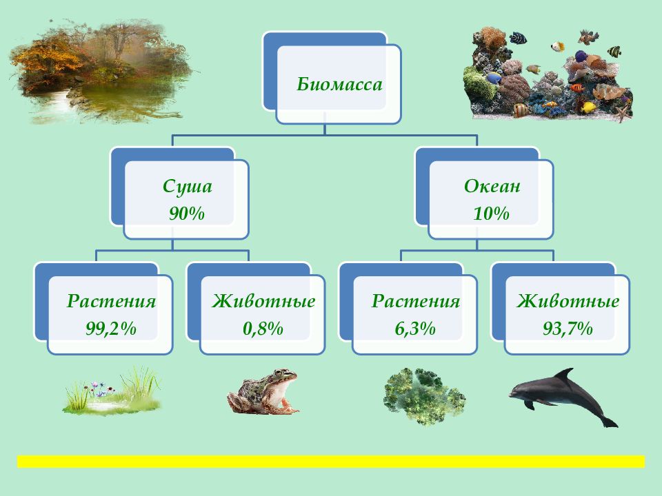 Растительный и животный мир земли 6 класс