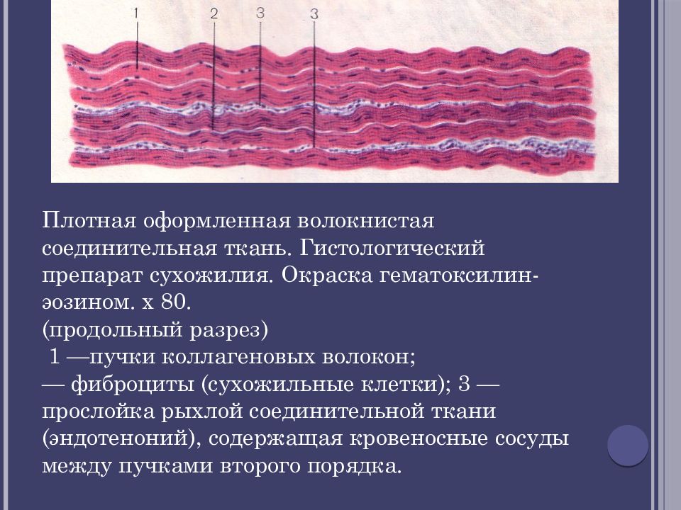 Плотная оформленная ткань