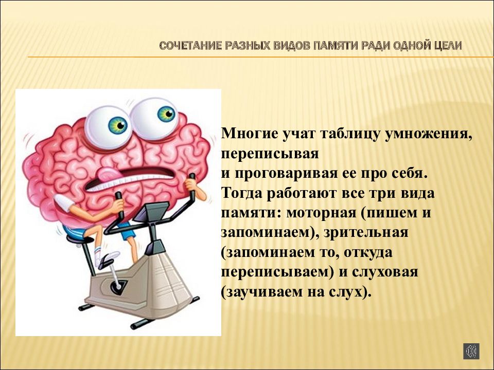 Взаимосвязь и взаимодействие различных видов памяти у человека презентация