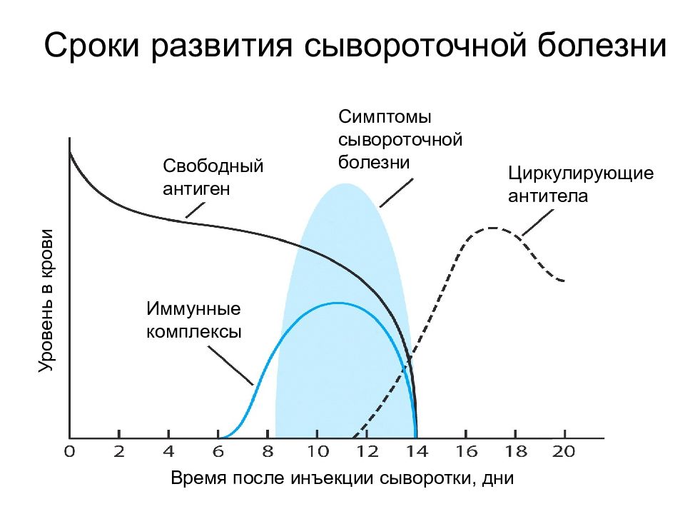 Сывороточная болезнь презентация