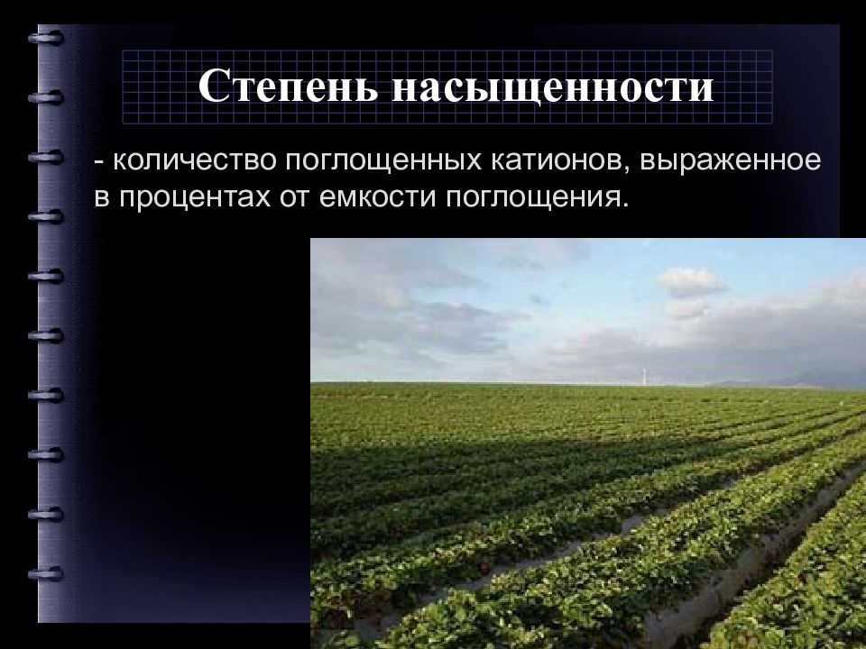 Емкость поглощения почвы. Поглотительная способность почвы. Буферная способность почвы. Виды поглотительной способности почв. Впитывающая способность почвы.