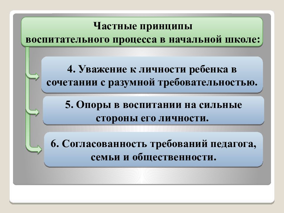 Частные принципы. Принципы организации воспитательной работы. Принципы воспитательного процесса. Частные принципы организации воспитательной работы. Воспитательный процесс в начальной школе.