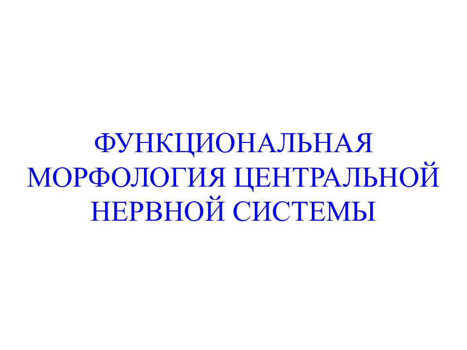 ФУНКЦИОНАЛЬНАЯ МОРФОЛОГИЯ ЦЕНТРАЛЬНОЙ НЕРВНОЙ СИСТЕМЫ