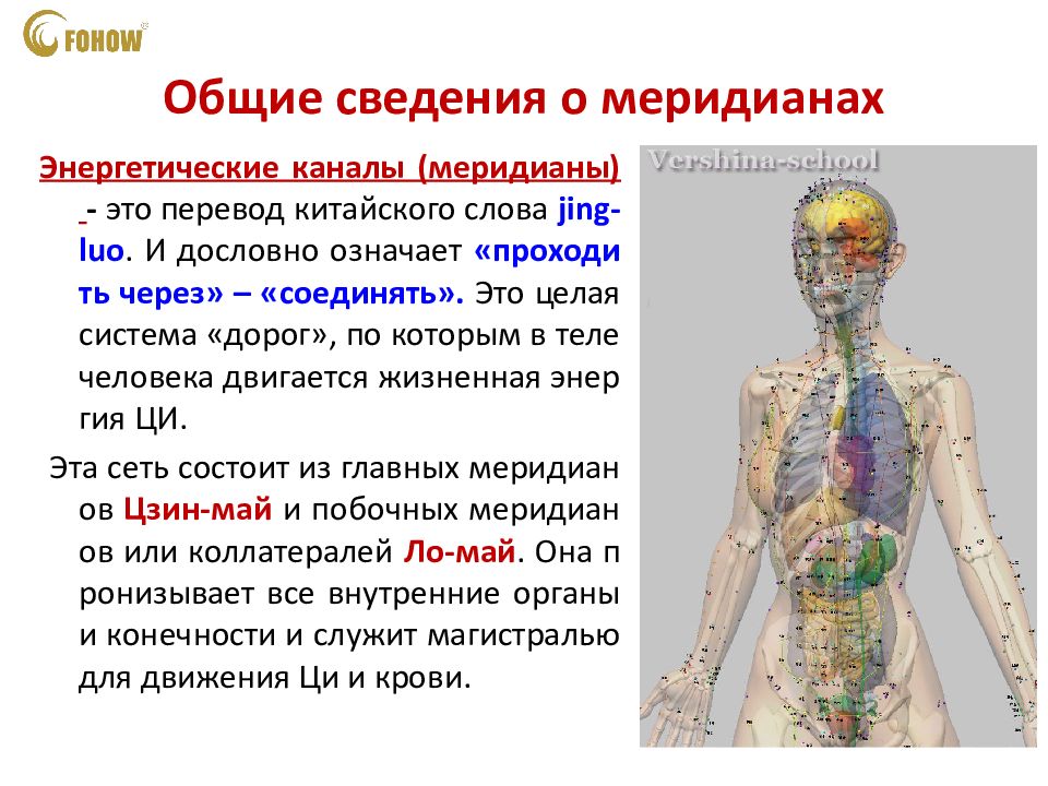 Артровикс меридиан. Что такое меридианы в организме человека. Меридианы в теле человека. Меридианы органов человека. Каналы меридианы в теле человека.