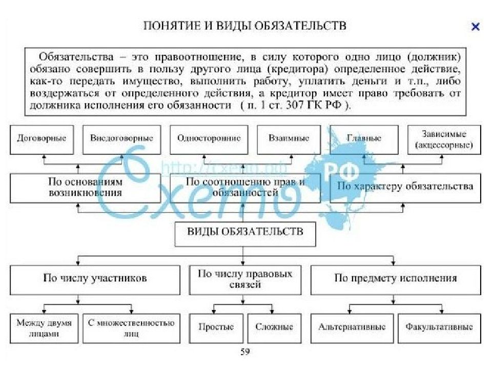 Составить схему используя приведенные понятия обязательство договор внедоговорные