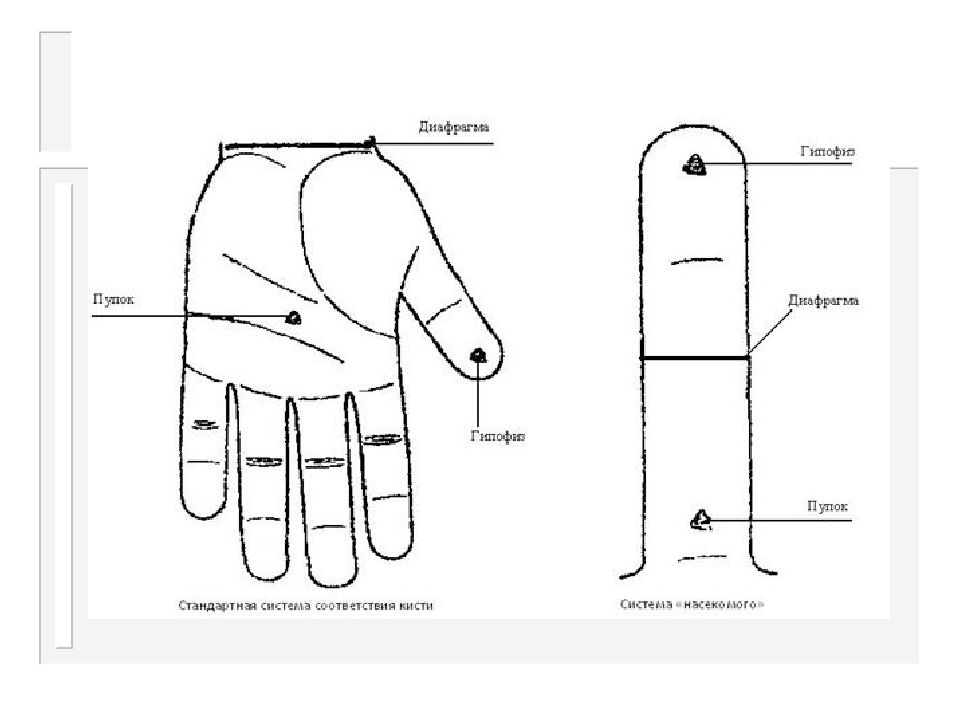 Су джок точки на ладони схема и описание