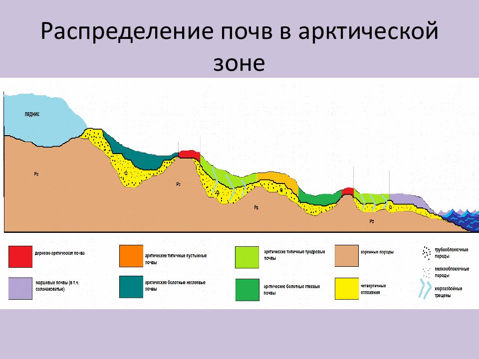 Почва арктики картинки