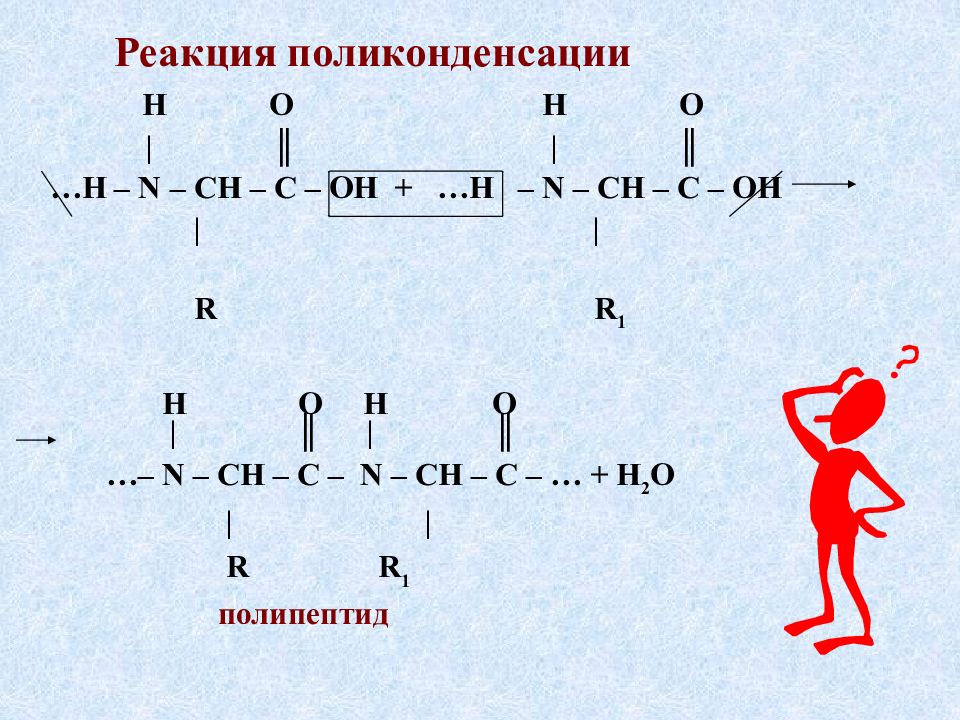 Схема реакции поликонденсации аминокислот в полипептид