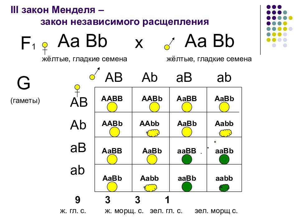 Карта менделя ярославской области