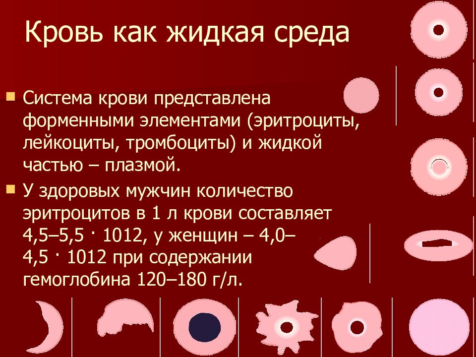 Почему жидкий. Много эритроцитов в крови. Эритроциты при анемии у женщин. Тромбоциты при анемии. Нормальный эритроцит.