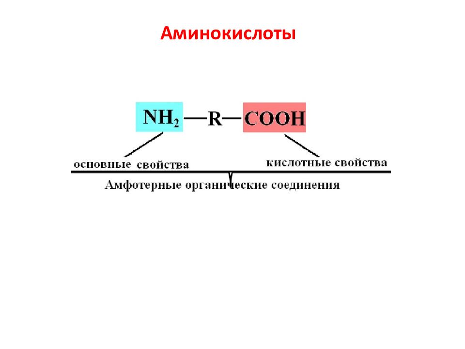 Азотсодержащие органические соединения презентация