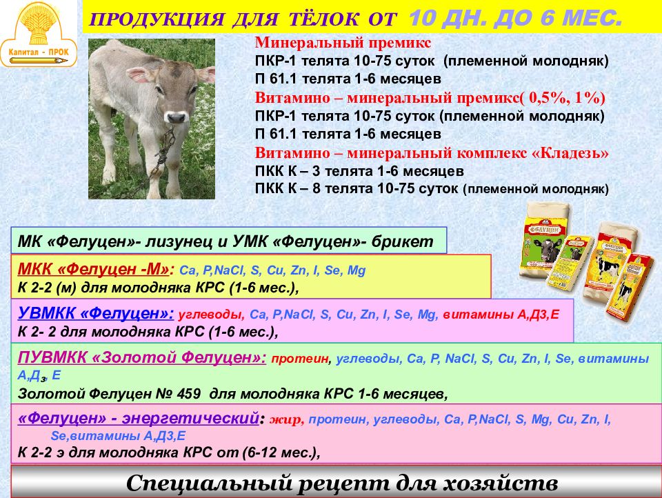 Выращивание молодняка крс презентация