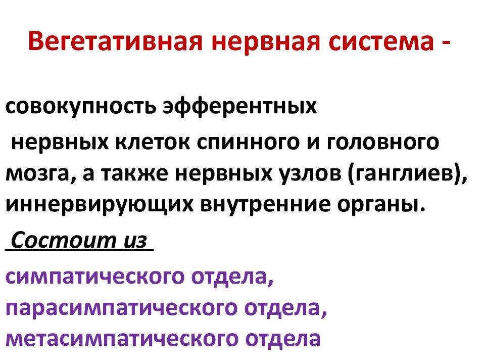 Вегетативная нервная система -