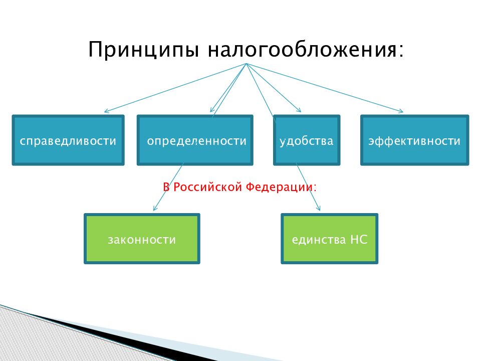 Налоговые правоотношения