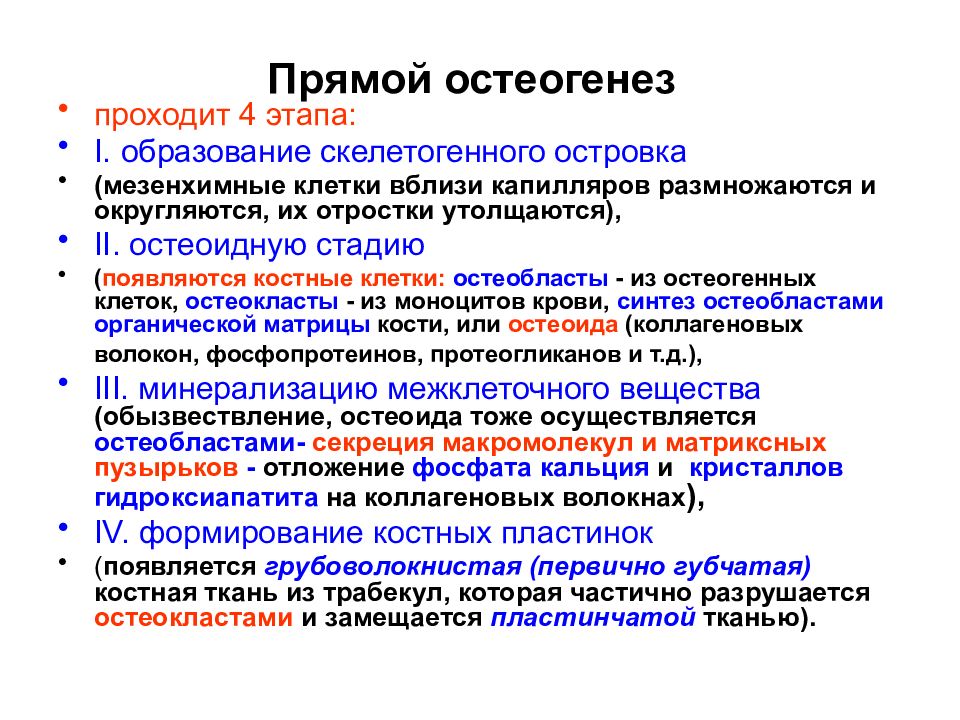 3 этапа образования. Остеогенез прямой и непрямой таблица. Стадии непрямого остеогенеза гистология. . Прямой и непрямой остеогенез этапы. Прямой остеогенез стадии.