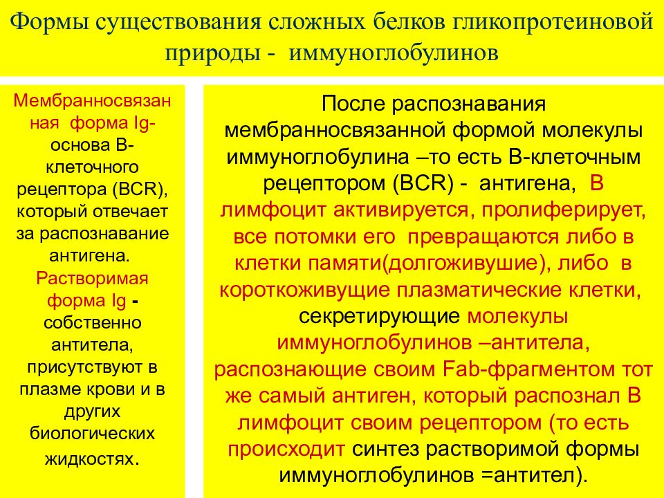 Наличие сложный. Иммуноглобулины сложные белки. Норма гуморального ответа на с белок. Какой феномен отражает гуморальные формы иммунных реакций. Преиммунный ответ.