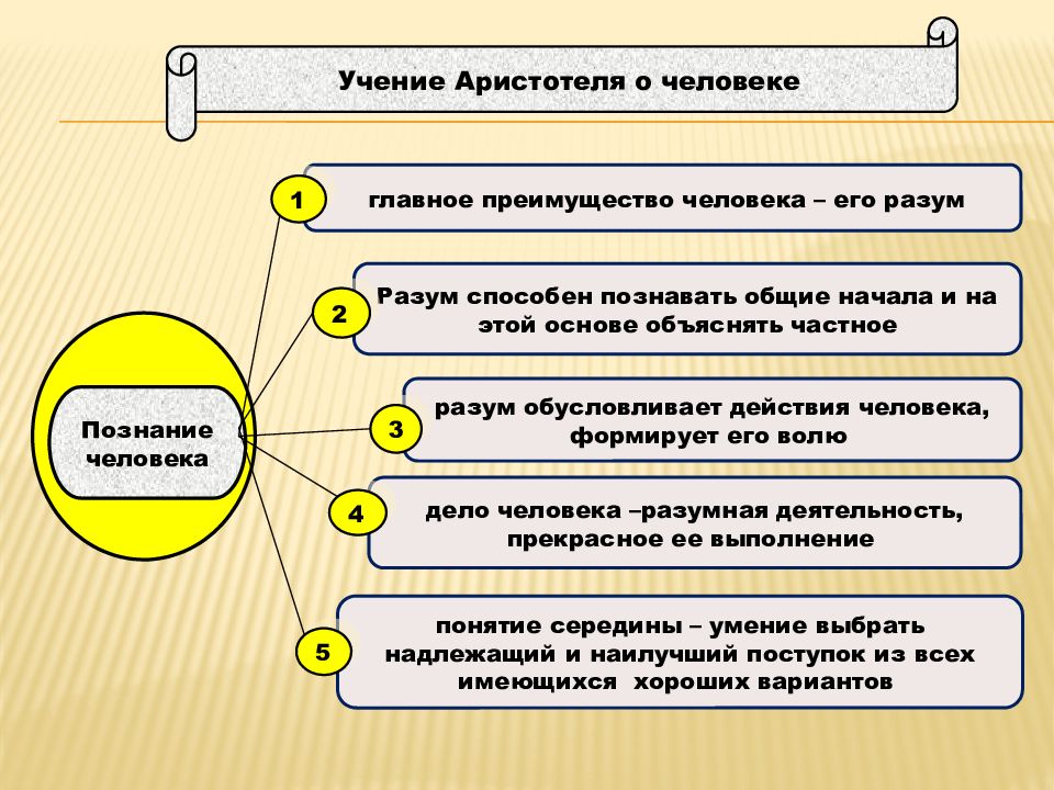 Учение о душе. Аристотель о человеке. Учение о категориях Аристотеля. Мучение Аристотеля о душе. Категории философии Аристотеля.