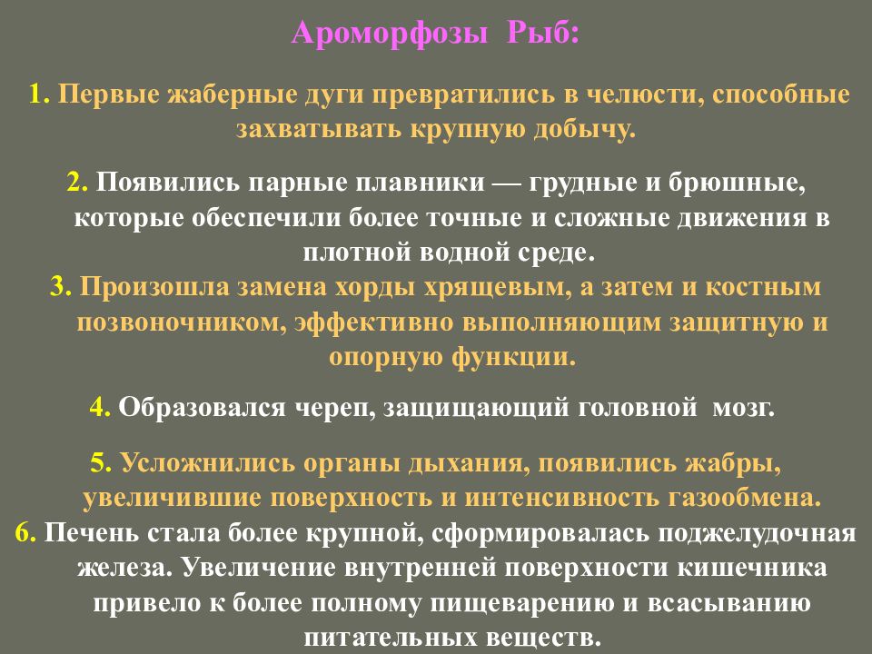 Важнейшие ароморфозы животных. Ароморфозы хрящевых рыб. Надкласс рыбы ароморфозы. Ароморфозы возникновения рыб. Ароморфозы надкласса рыбы.