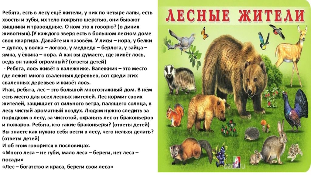 Веселый рассказ в лесу. Лес многоэтажный дом в нем живут. Дописать рассказ лес многоэтажный дом в нем живут. Лес многоэтажный дом 2 класс окружающий мир. Допиши рассказ лес многоэтажный дом в нем живут окружающий мир.