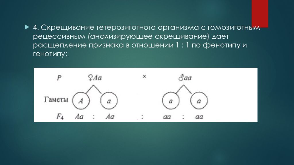 Гетерозиготный вид