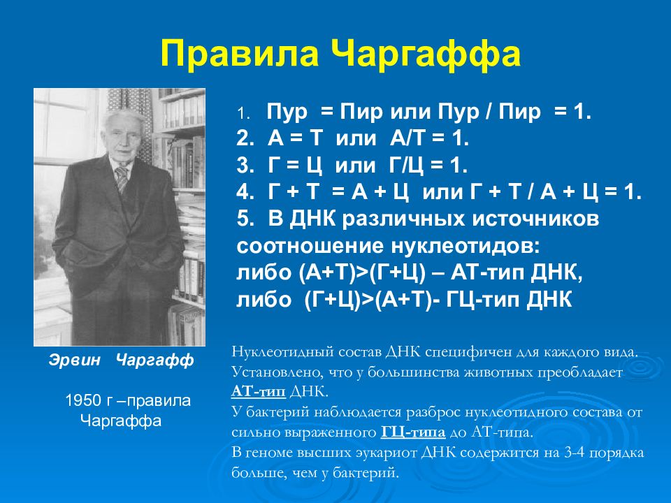 Правило чаргаффа. Э.Чаргафф ДНК. Чаргафф нуклеиновые кислоты. Эдвин Чаргафф его правило. Эрвин Чаргафф сформулировал правило.