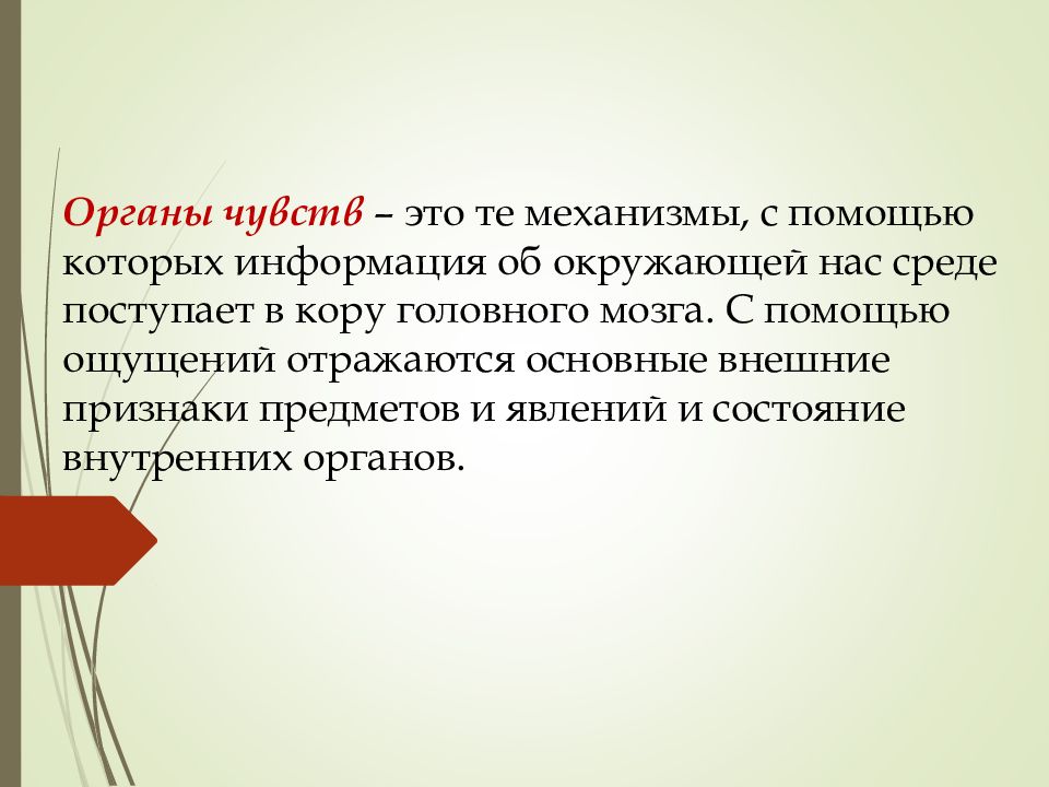 Чувство презентация. Ощущение это отражение в коре головного мозга. Чувство помощи.