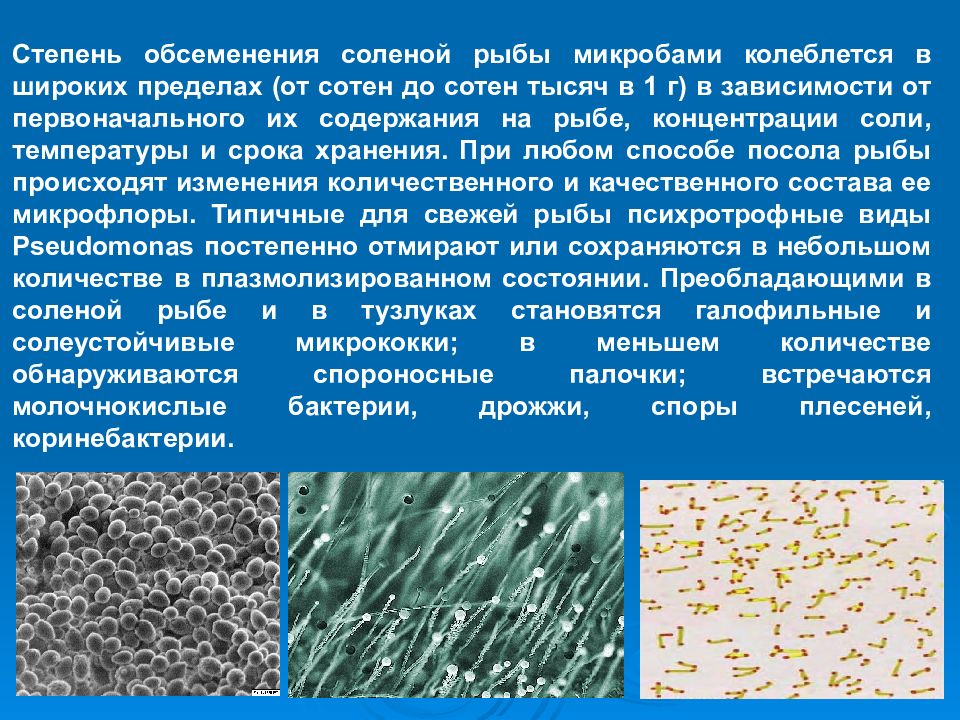 Микробиология рыбных продуктов презентация