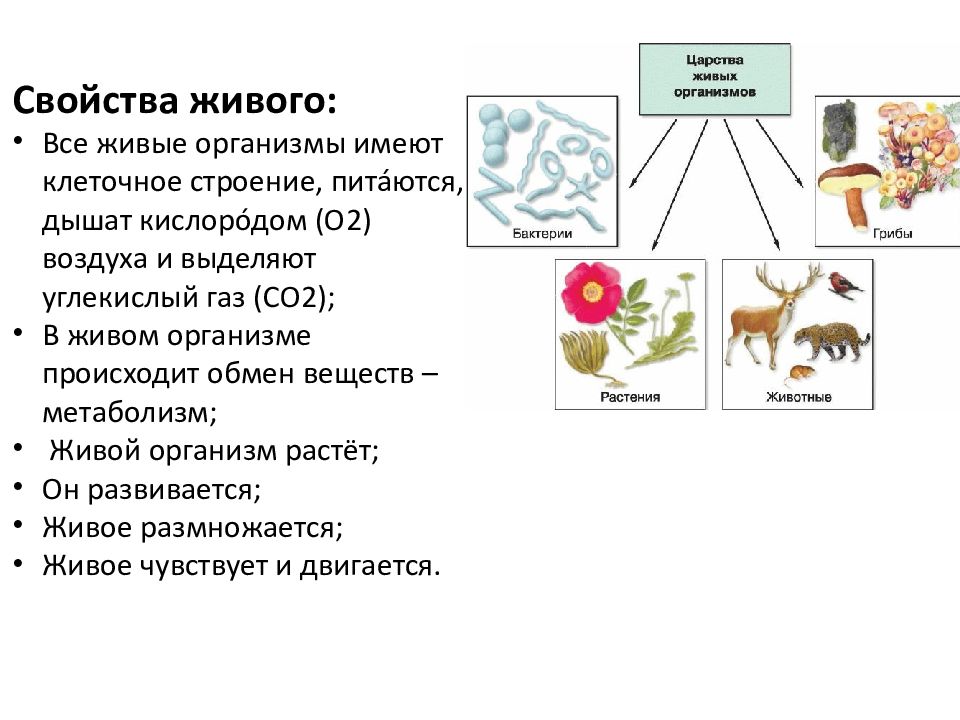Таблица свойств живых организмов