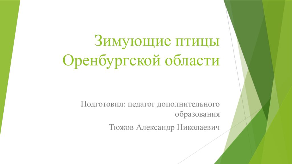 Презентация птицы оренбургской области