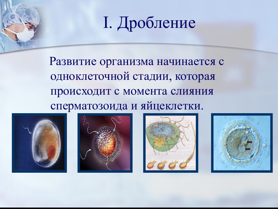 Презентация на тему индивидуальное развитие