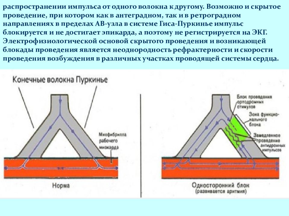 Проведение распространение