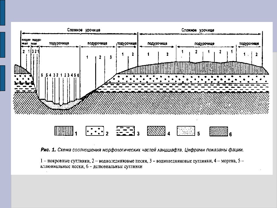 Структура ландшафта. Фации урочища подурочища. Урочище фации ландшафтоведение. Местности урочища подурочища фации. Урочище фация подурочище.
