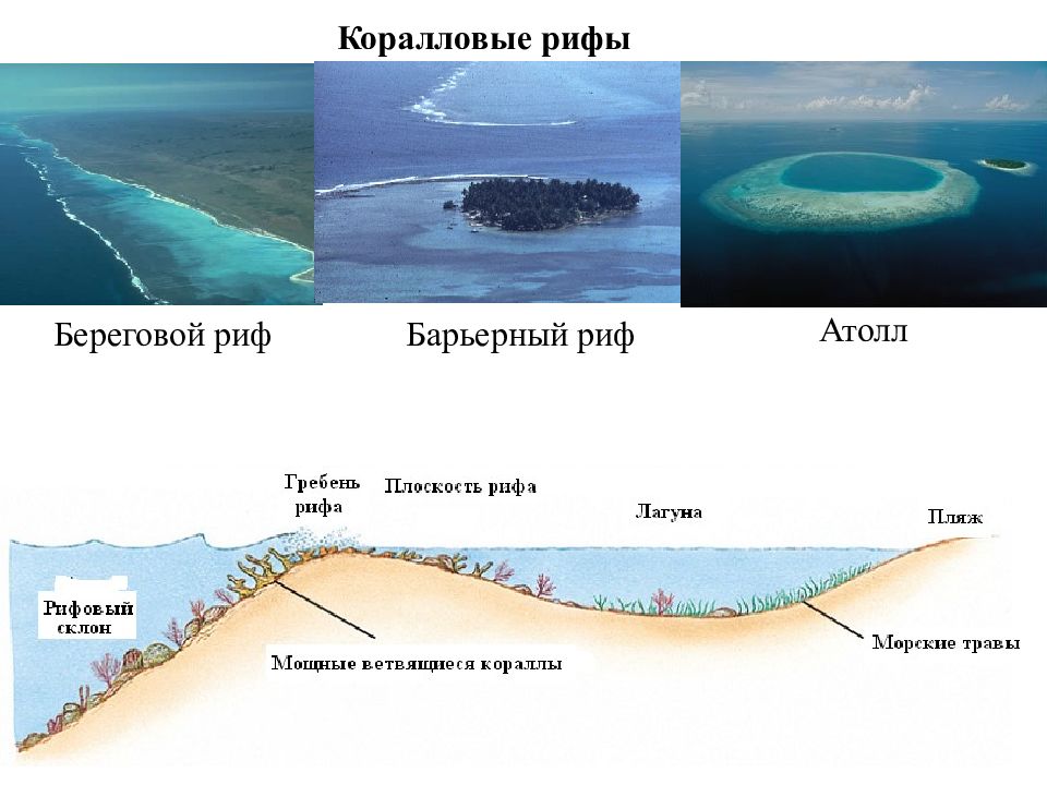 Образование атолла схема