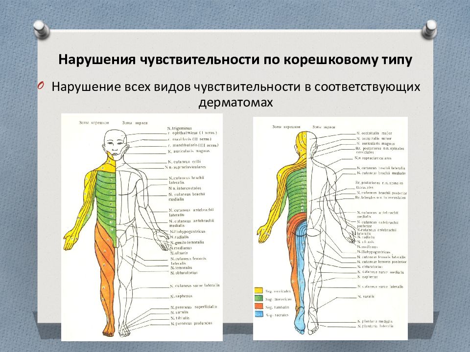 Сегментарный тип расстройства. Проводниковый и сегментарный Тип нарушения чувствительности. Сегментарный Тип расстройства чувствительности. Сегментарный Тип нарушения чувствительности неврология. Сегментарный диссоциированный Тип расстройства чувствительности.