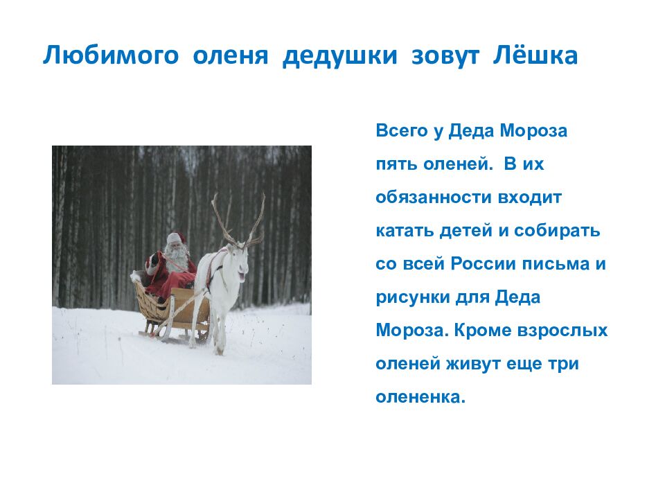 Проект «Пишем письмо Деду Морозу»