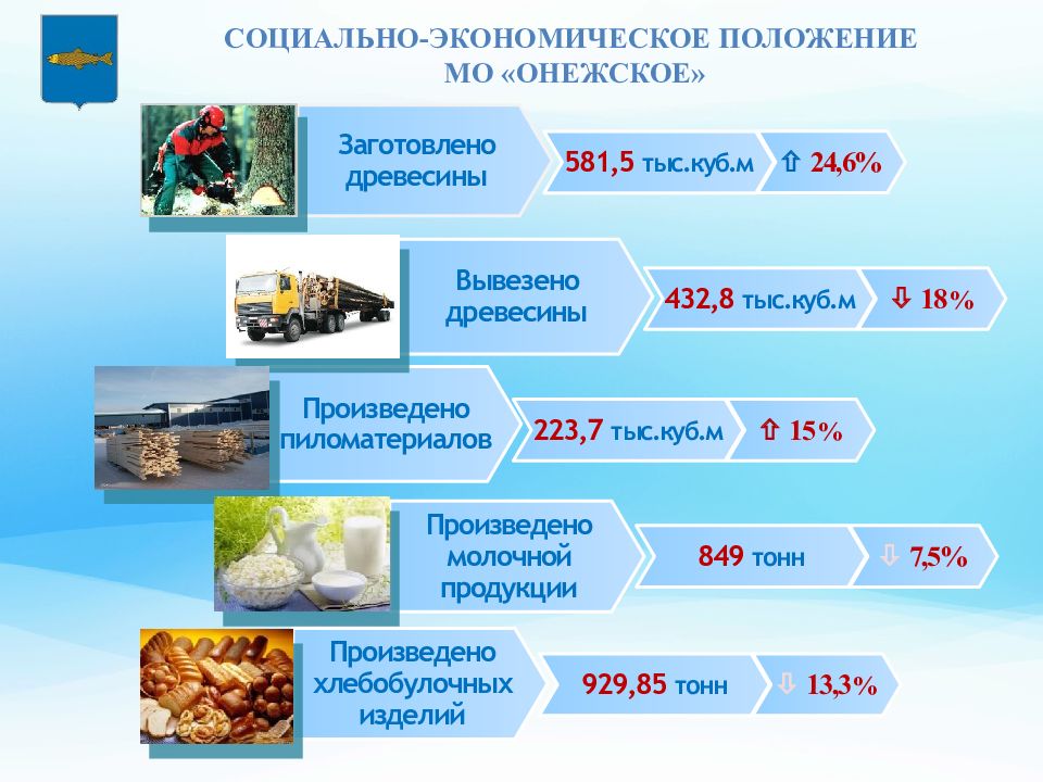 Продукция результат деятельности. Отчет о результатах работы презентации. Диема 18 что производит.