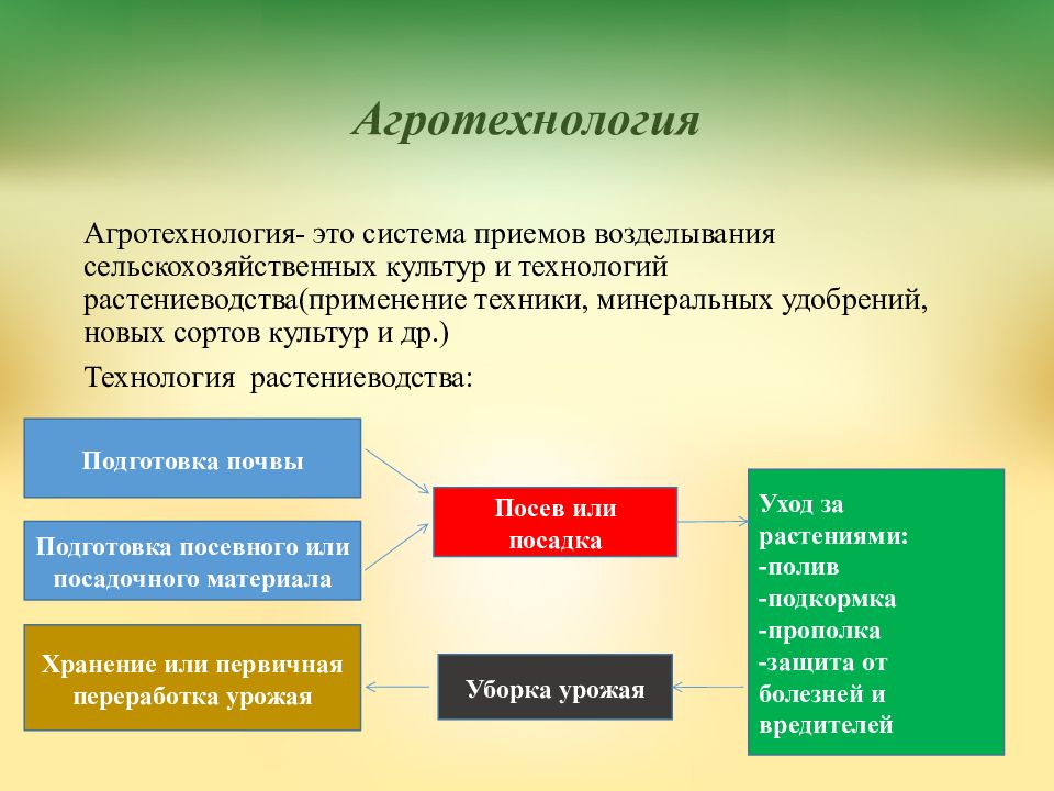 Основные направления в растениеводстве 5 класс презентация