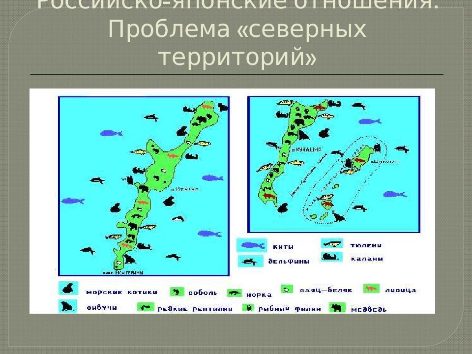 Северные территории японии. Проблемы развития крайнего севера. Карта курильских островов и японии. Северный кавказ экологическая ситуация. Советско-японские отношения.
